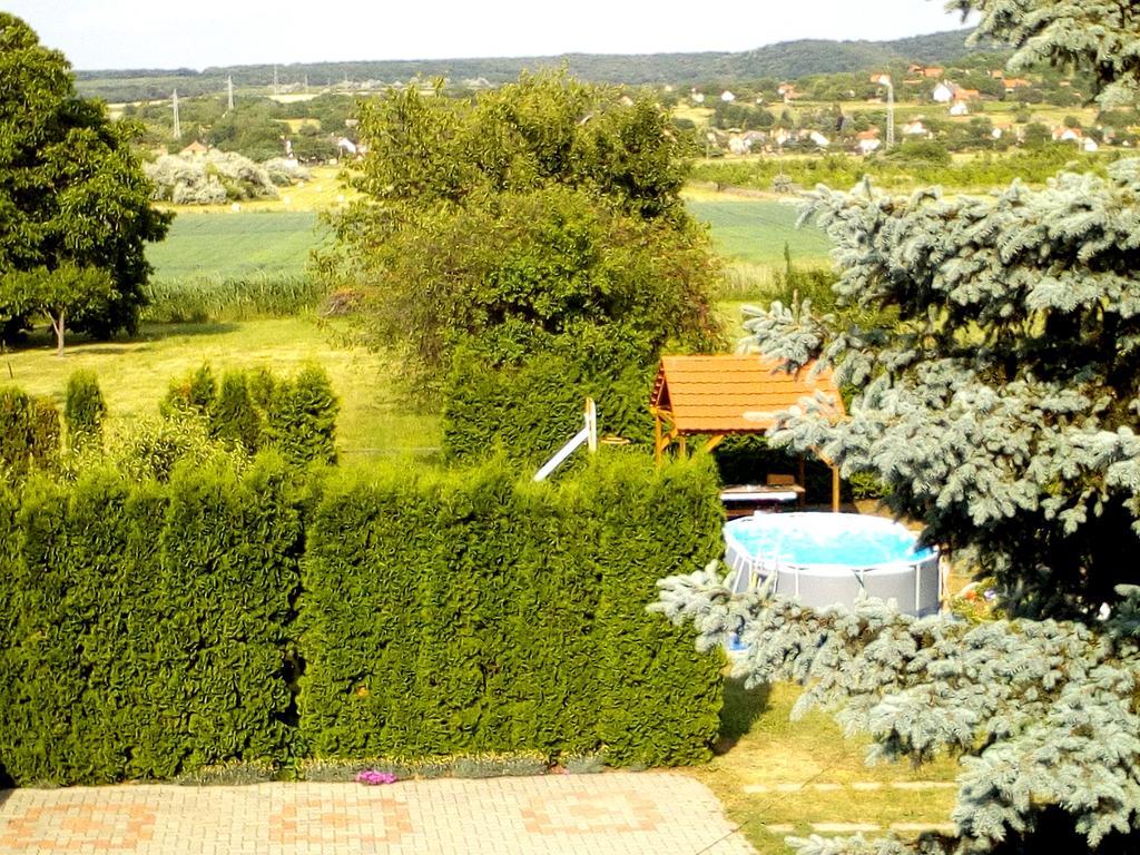 Aniko Apartmanhaz Balatonföldvár 外观 照片
